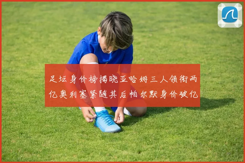 足坛身价榜揭晓亚哈姆三人领衔两亿奥利塞紧随其后帕尔默身价破亿