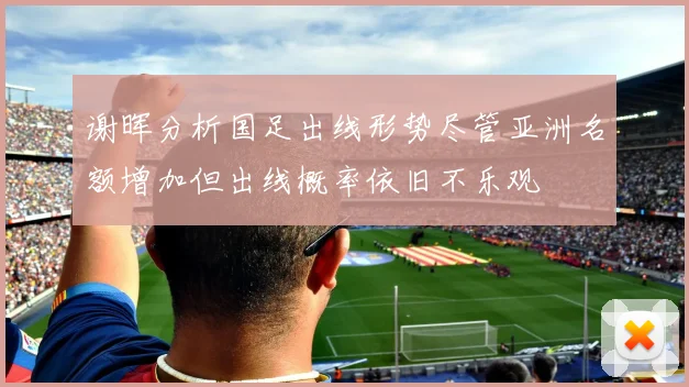 谢晖分析国足出线形势尽管亚洲名额增加但出线概率依旧不乐观