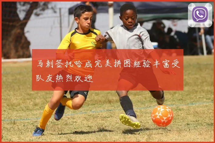 马刺签托哈成完美拼图经验丰富受队友热烈欢迎